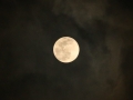 Full moon Aug 14